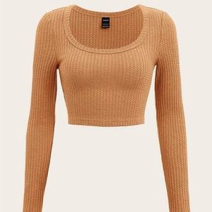 SHEIN EZWear Scoop Neck Rib-Knit Crop Tee